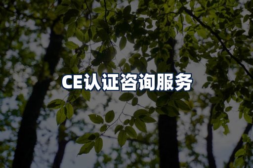 CE认证咨询服务